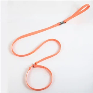 Fòmasyon mennen pou chen ki rale