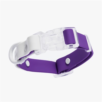 Kolye chen ki enpèmeyab ak non