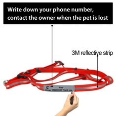 Wholesale dirab entièrement sèrechon chen ak kòd